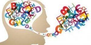 Reabilitação Neurológica Fonoaudiologia
